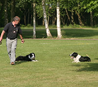Entraînement Taffy et Ernie Entraînement Taffy et Ernie
