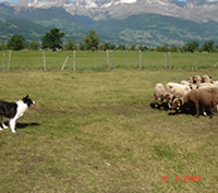 Opale point d'équilibre debout Opale point d'équilibre debout